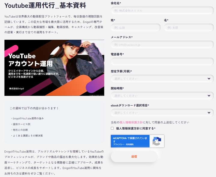 YouTube広告運用資料請求ページ