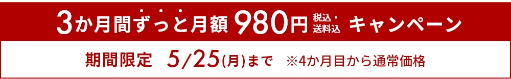 3か月ずっと月額980円バナー