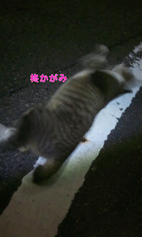 f:id:ageha7725:20160927003045j:plain
