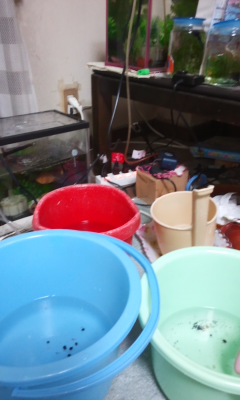 f:id:ageha7725:20161215002336j:plain