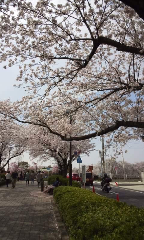 f:id:ageha7725:20170409143220j:plain