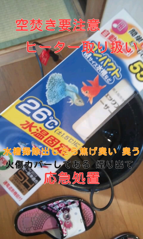 f:id:ageha7725:20170516025655j:plain f:id:ageha7725:20170516025655j:plain