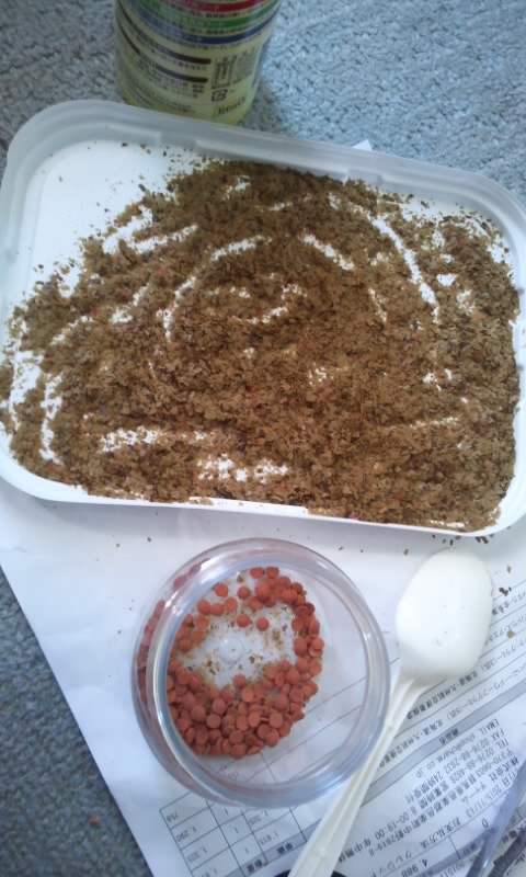 f:id:ageha7725:20170611011922j:plain