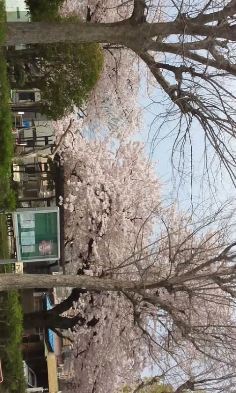 f:id:ageha7725:20170616214316j:plain