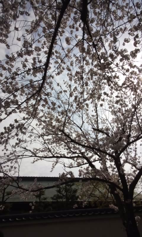 f:id:ageha7725:20170619071251j:plain