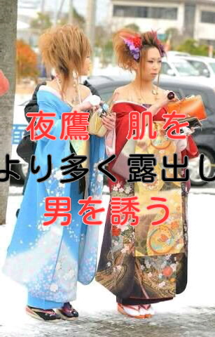 f:id:ageha7725:20180106103559j:plain
