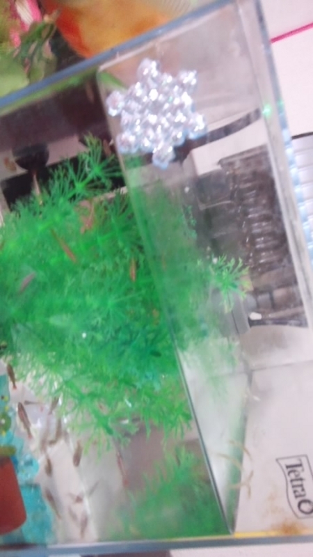 f:id:ageha7725:20180820084230j:plain