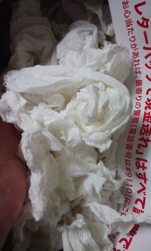 f:id:ageha7725:20190325235516j:plain