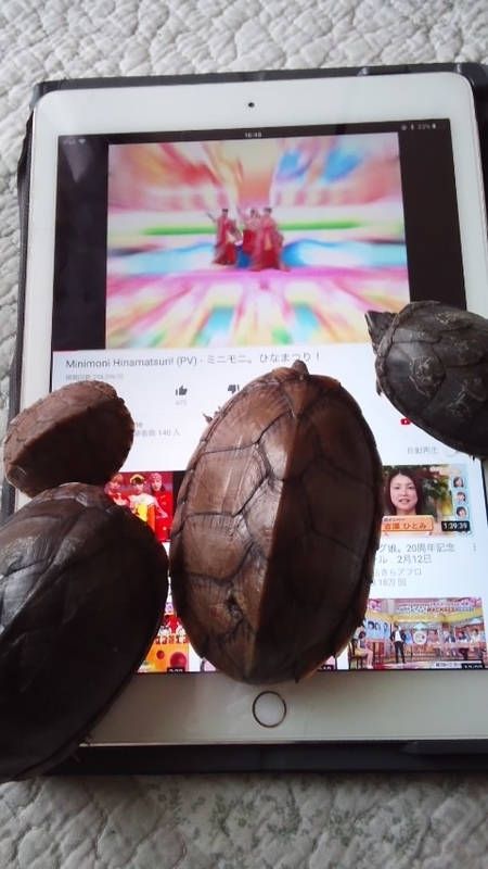 f:id:ageha7725:20190513031507j:plain