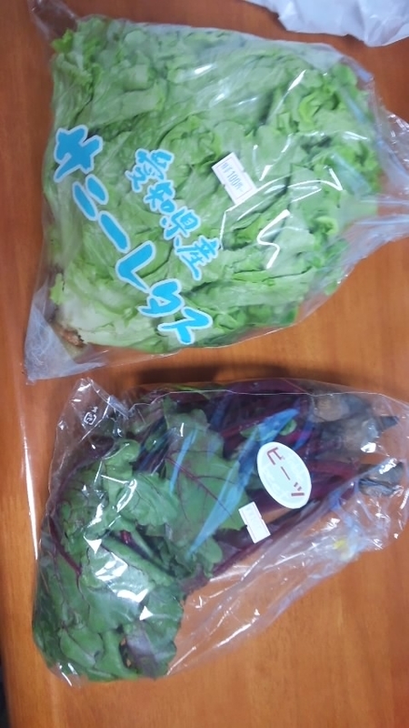 f:id:ageha7725:20190822050527j:plain