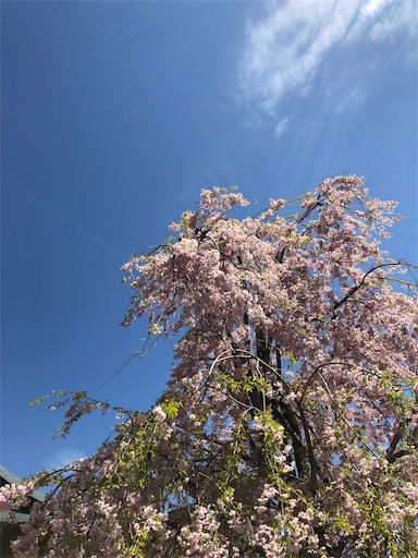 f:id:agemn:20210410172432j:image