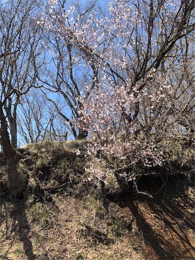 f:id:agemn:20210410174230j:image