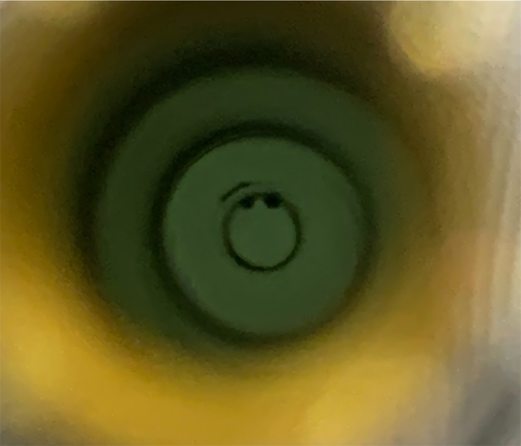 f:id:agenom:20241215154503j:image