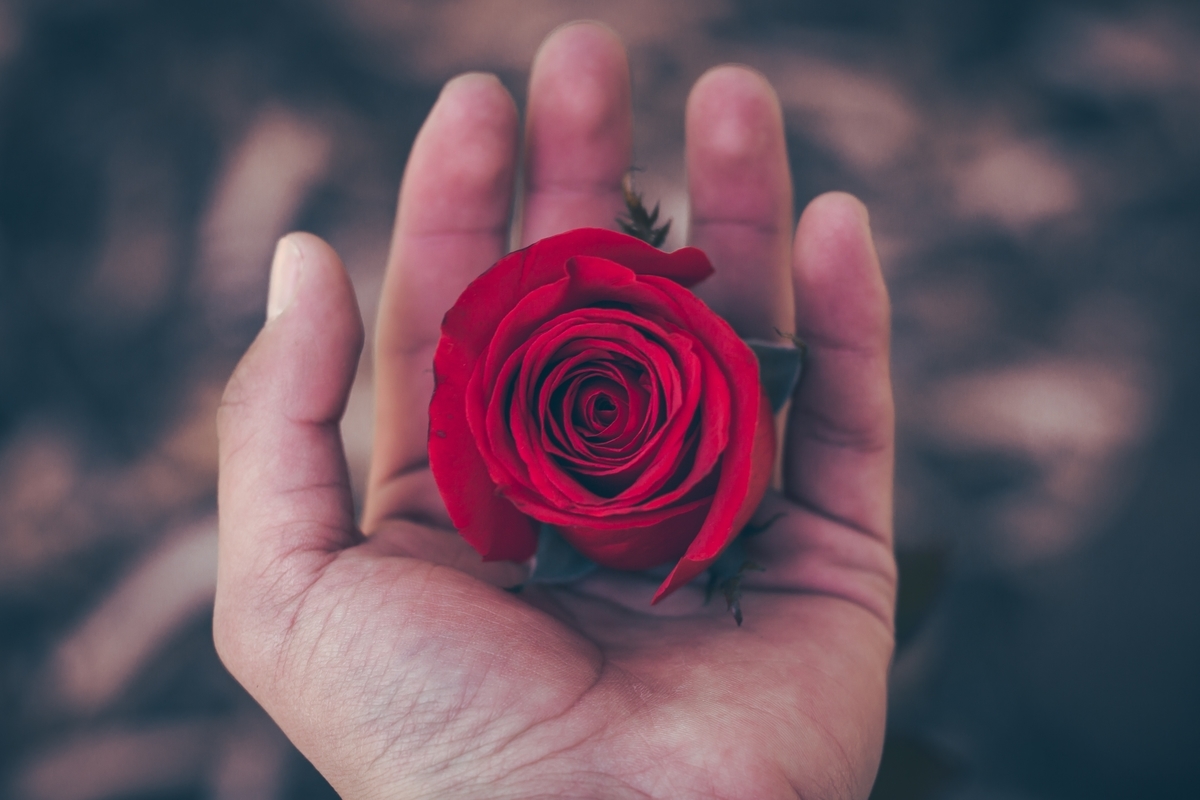 f:id:agepeople:20190603153343j:plain f:id:agepeople:20190603153343j:plain