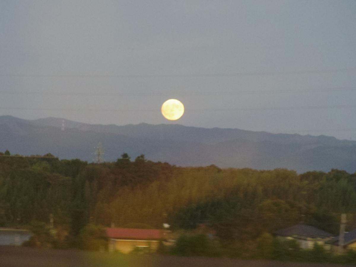 f:id:agesubablog:20201122234059j:plain