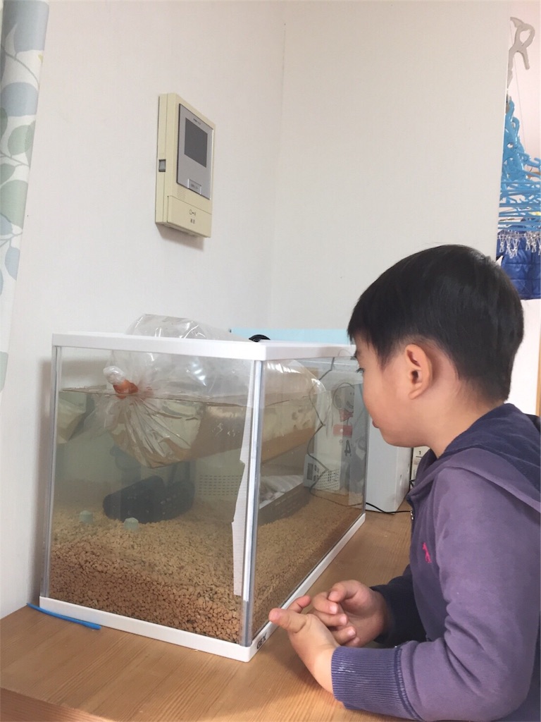f:id:agfun:20170601060233j:image f:id:agfun:20170601060233j:image