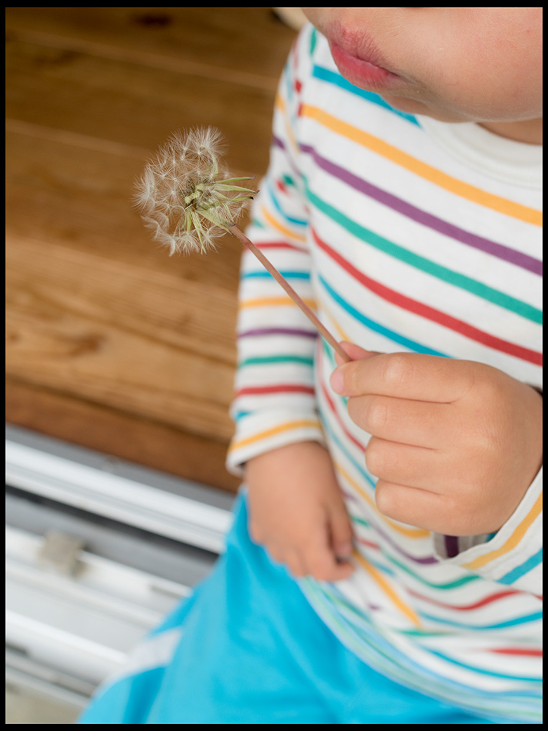 f:id:agincyu:20160502202006j:plain f:id:agincyu:20160502202006j:plain