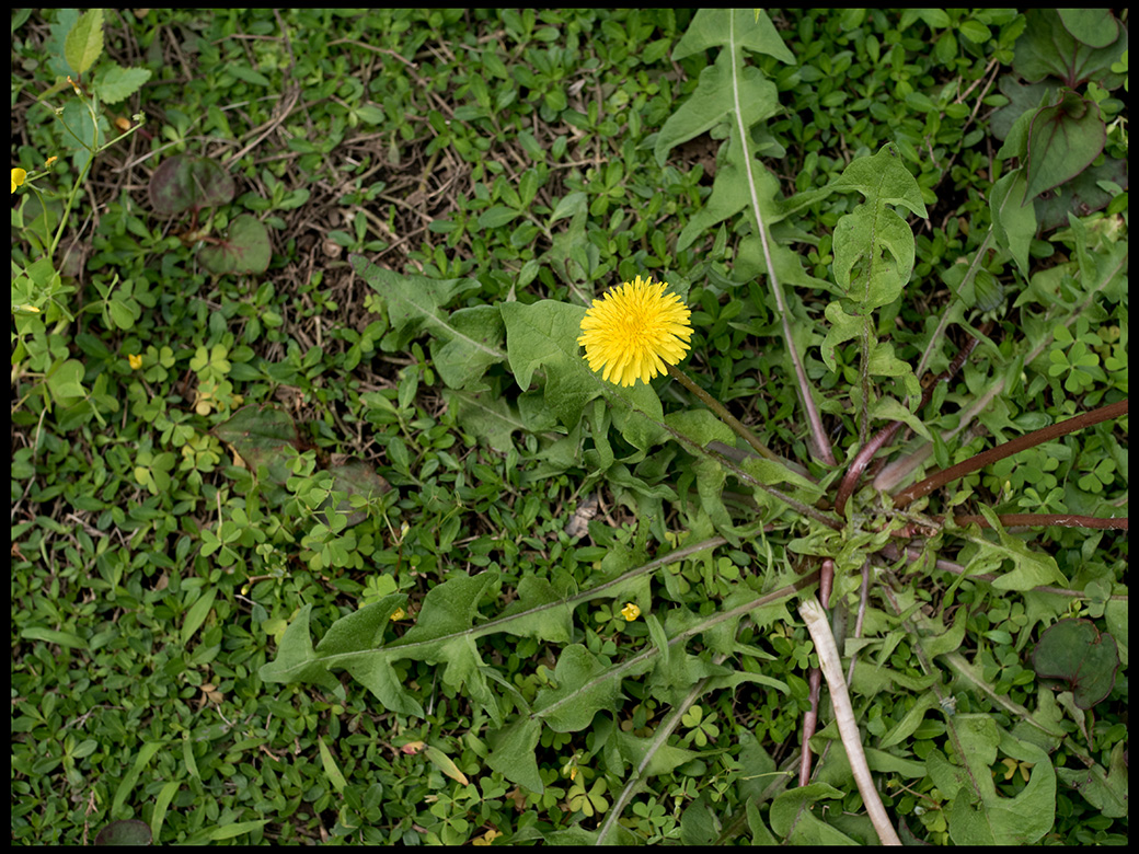 f:id:agincyu:20160502202009j:plain f:id:agincyu:20160502202009j:plain