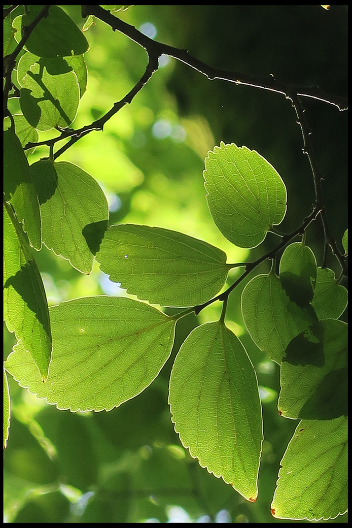 f:id:agincyu:20160824194210j:plain