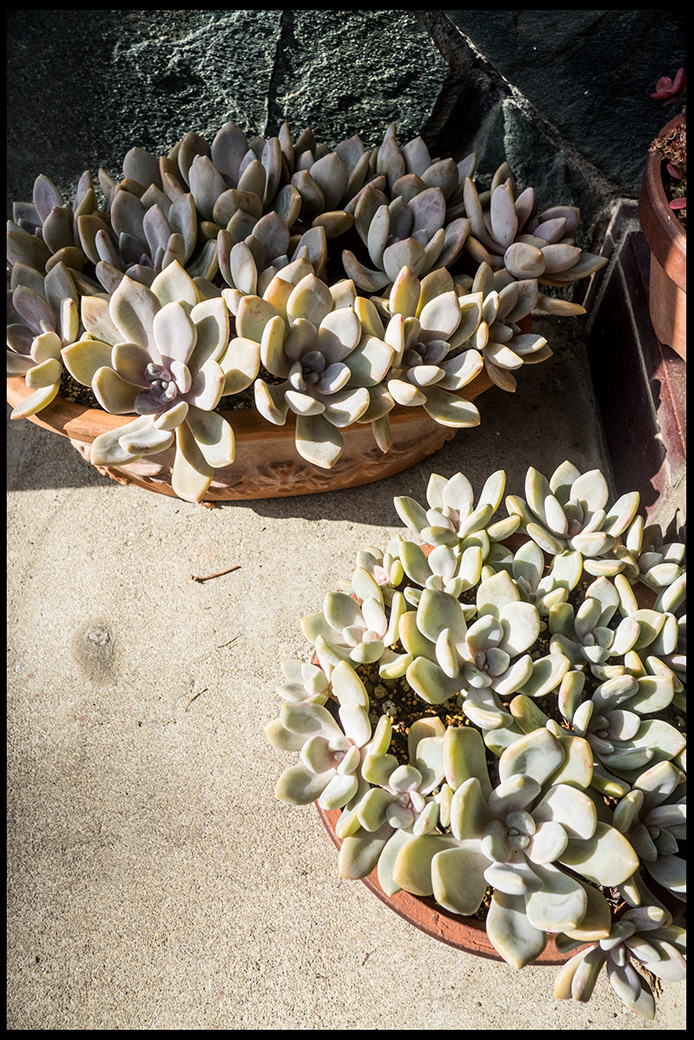 f:id:agincyu:20161130141230j:plain