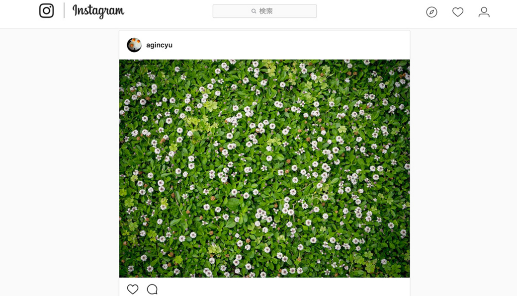 f:id:agincyu:20170618130833j:plain f:id:agincyu:20170618130833j:plain