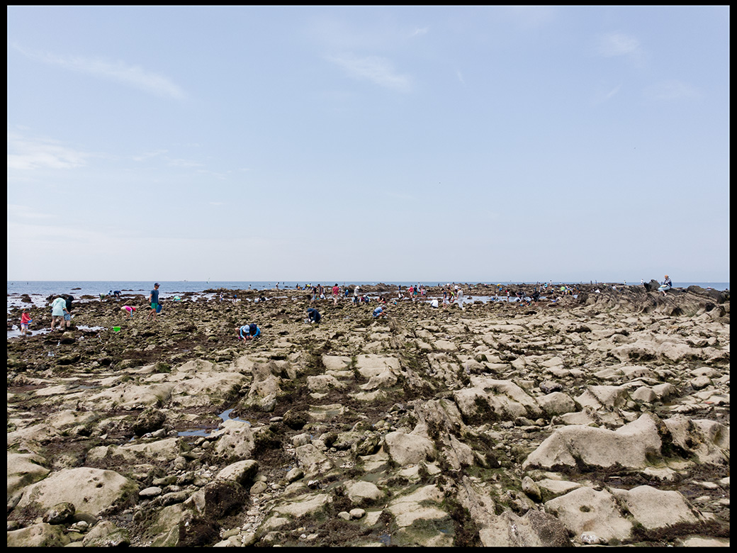 f:id:agincyu:20180430155432j:plain f:id:agincyu:20180430155432j:plain