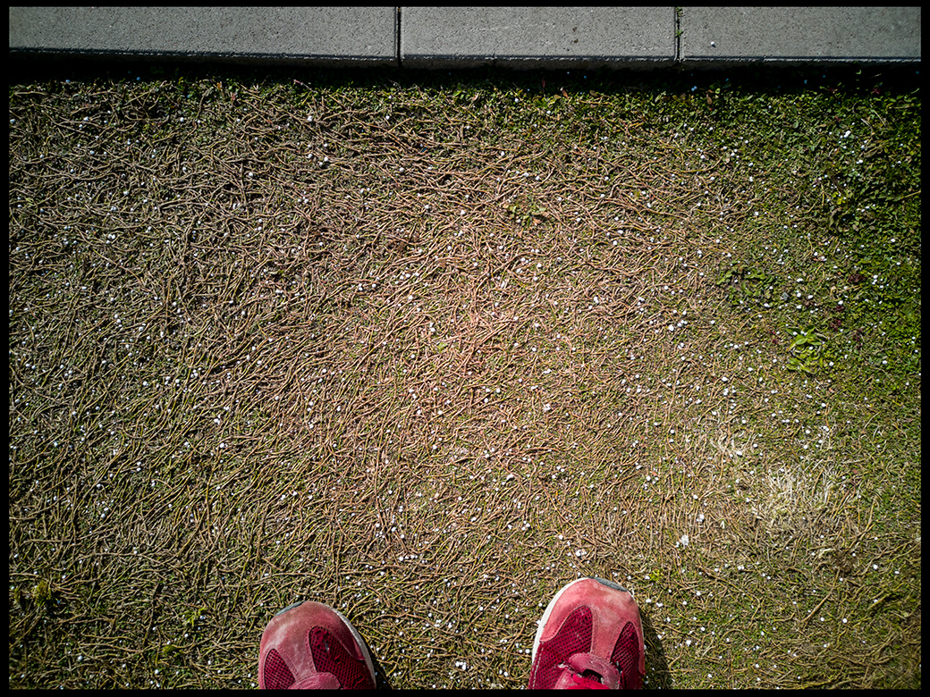 f:id:agincyu:20190324215420j:plain