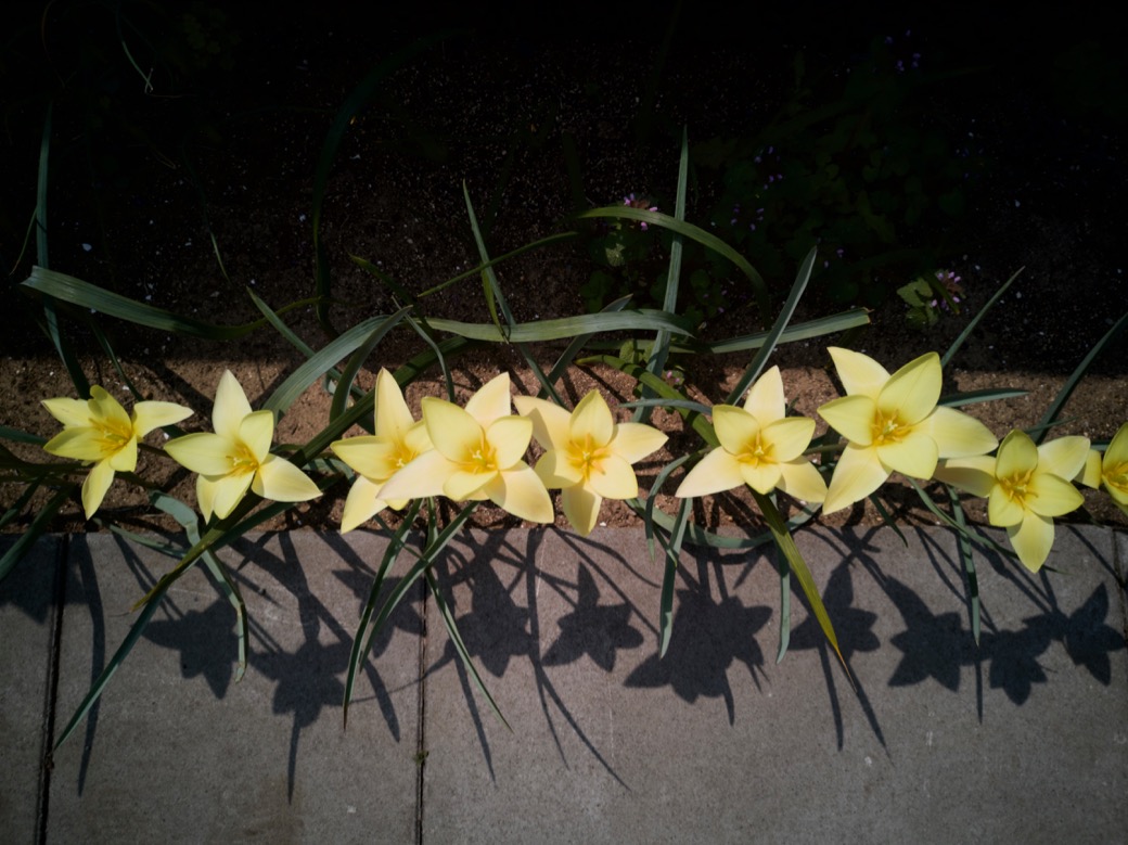 f:id:agincyu:20190407210929j:plain f:id:agincyu:20190407210929j:plain