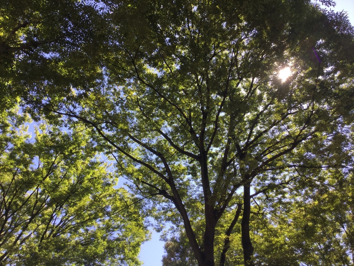 f:id:agiru64:20200223213422j:plain