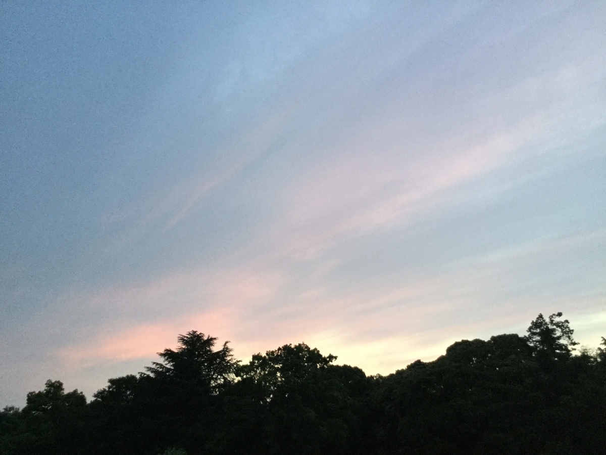 f:id:agiru64:20200626012953j:plain