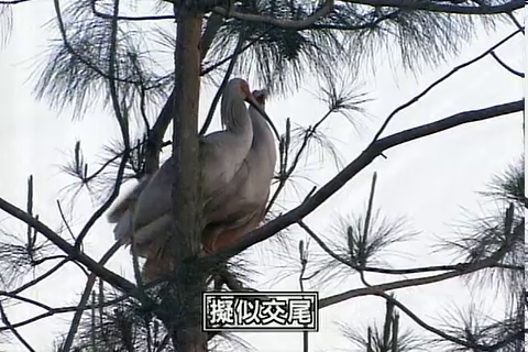 f:id:aglassofwater:20080921171609p:image f:id:aglassofwater:20080921171609p:image