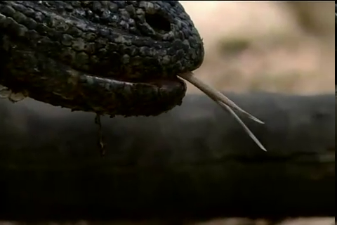 f:id:aglassofwater:20081222195839p:image f:id:aglassofwater:20081222195839p:image