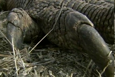 f:id:aglassofwater:20081222195843p:image f:id:aglassofwater:20081222195843p:image