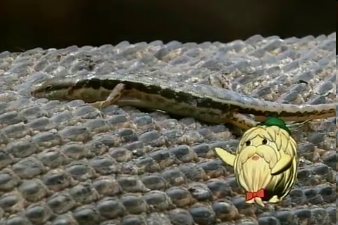 f:id:aglassofwater:20081222195844p:image f:id:aglassofwater:20081222195844p:image