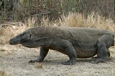 f:id:aglassofwater:20081222195847p:image f:id:aglassofwater:20081222195847p:image