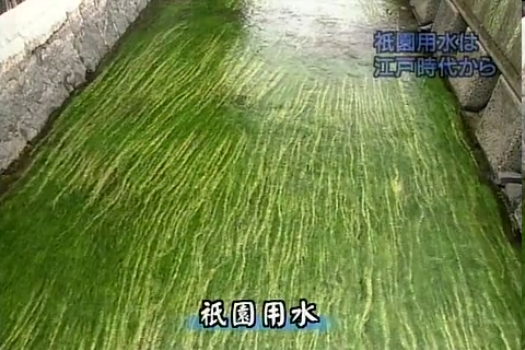 f:id:aglassofwater:20081226222210p:image