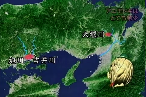 f:id:aglassofwater:20081226222213p:image