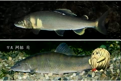 f:id:aglassofwater:20081226222214p:image