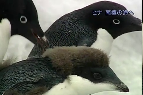 f:id:aglassofwater:20090101151220p:image