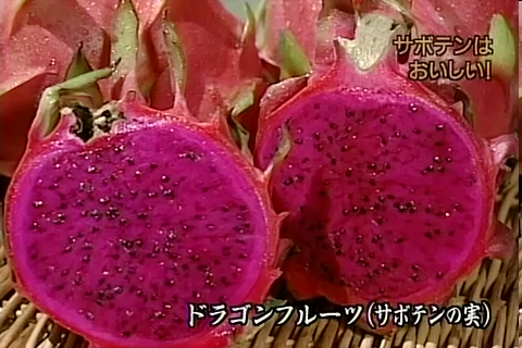 f:id:aglassofwater:20090101151942p:image
