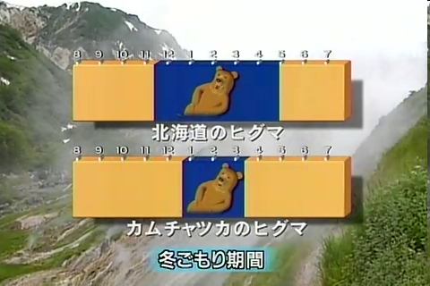 f:id:aglassofwater:20090101152953p:image