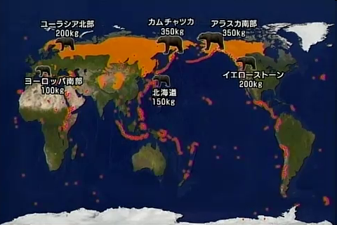 f:id:aglassofwater:20090101152954p:image