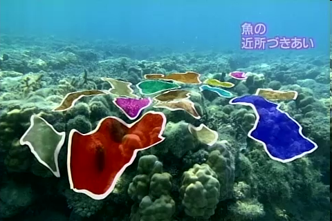 f:id:aglassofwater:20090101153831p:image f:id:aglassofwater:20090101153831p:image