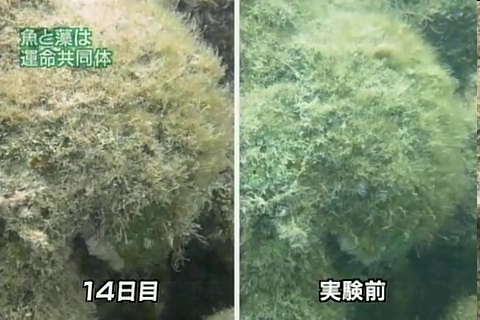 f:id:aglassofwater:20090101153833p:image f:id:aglassofwater:20090101153833p:image