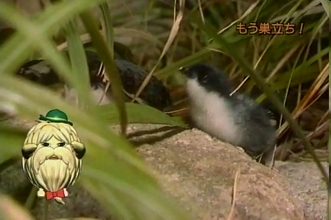 f:id:aglassofwater:20090101155501p:image