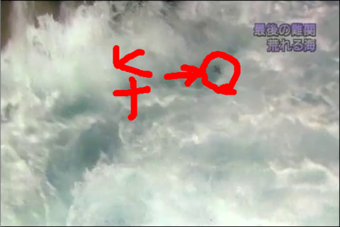 f:id:aglassofwater:20090101155503p:image