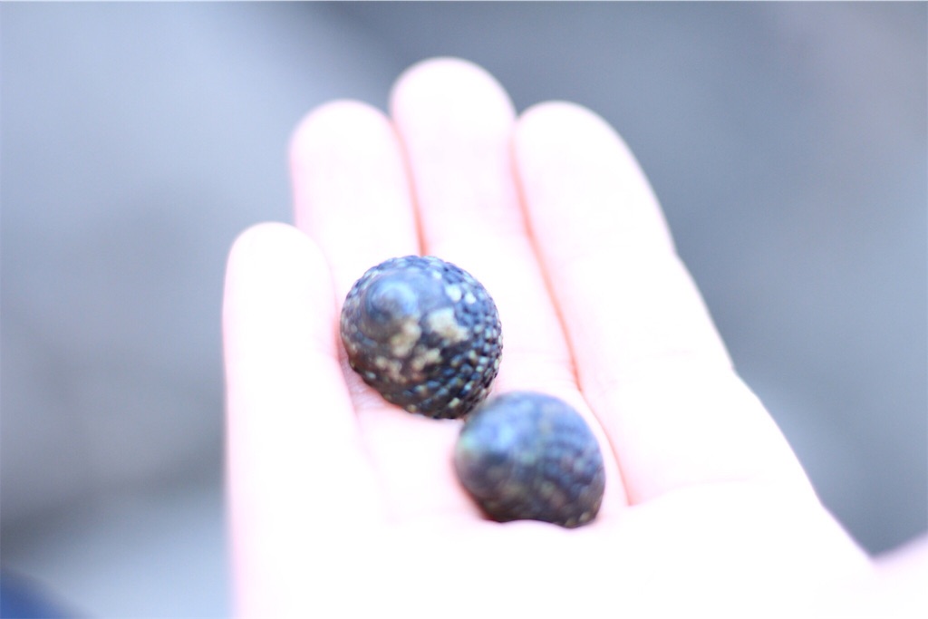 f:id:ago20th:20180531215008j:image f:id:ago20th:20180531215008j:image
