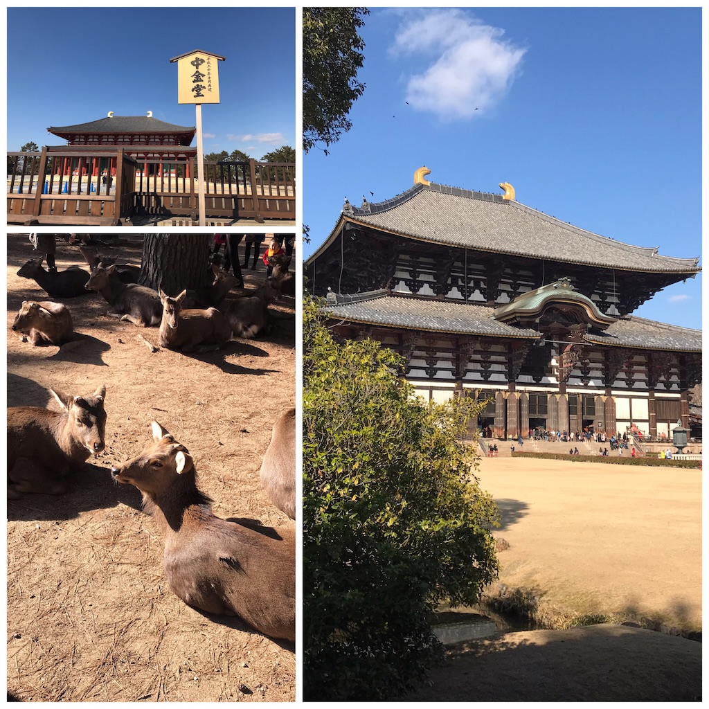 f:id:agoramc:20190208095554j:image