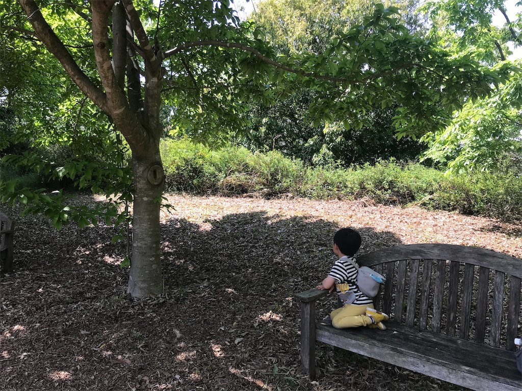f:id:agoramc:20190514091332j:image