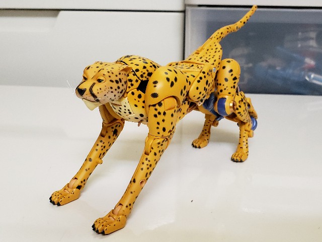 f:id:agoscream:20191231081153j:image